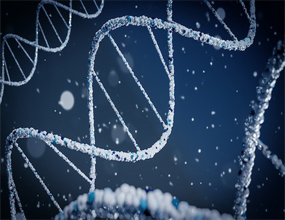 Epigenetic Memory of Our Genes