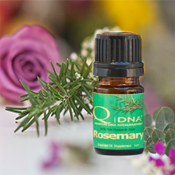 QDNA® Rosemary Essential Oil